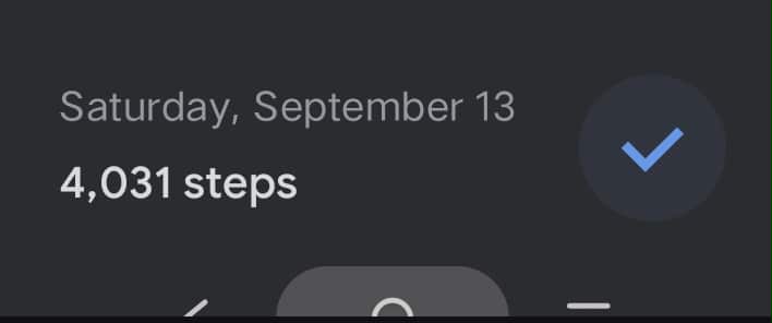 satsteps.jpg