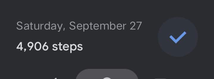 satsteps.jpg