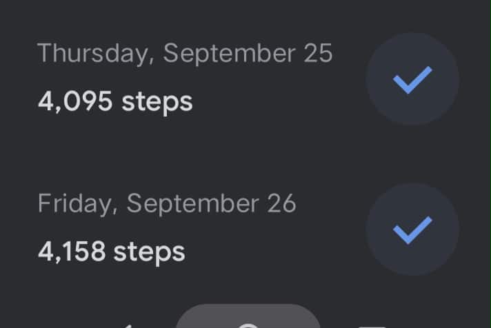 dailysteps.jpg