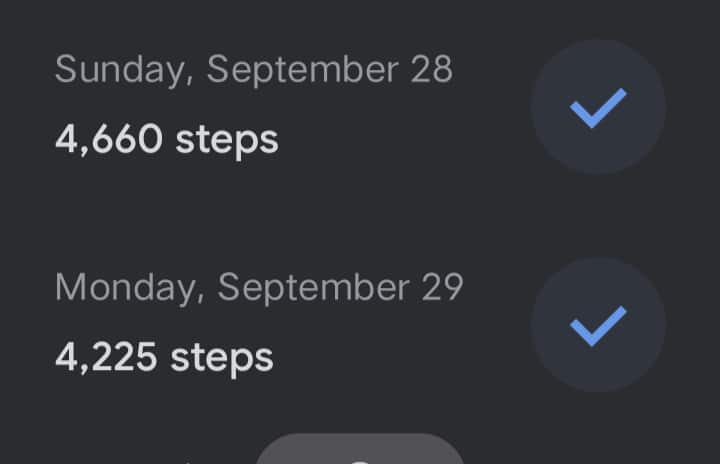 steps.jpg