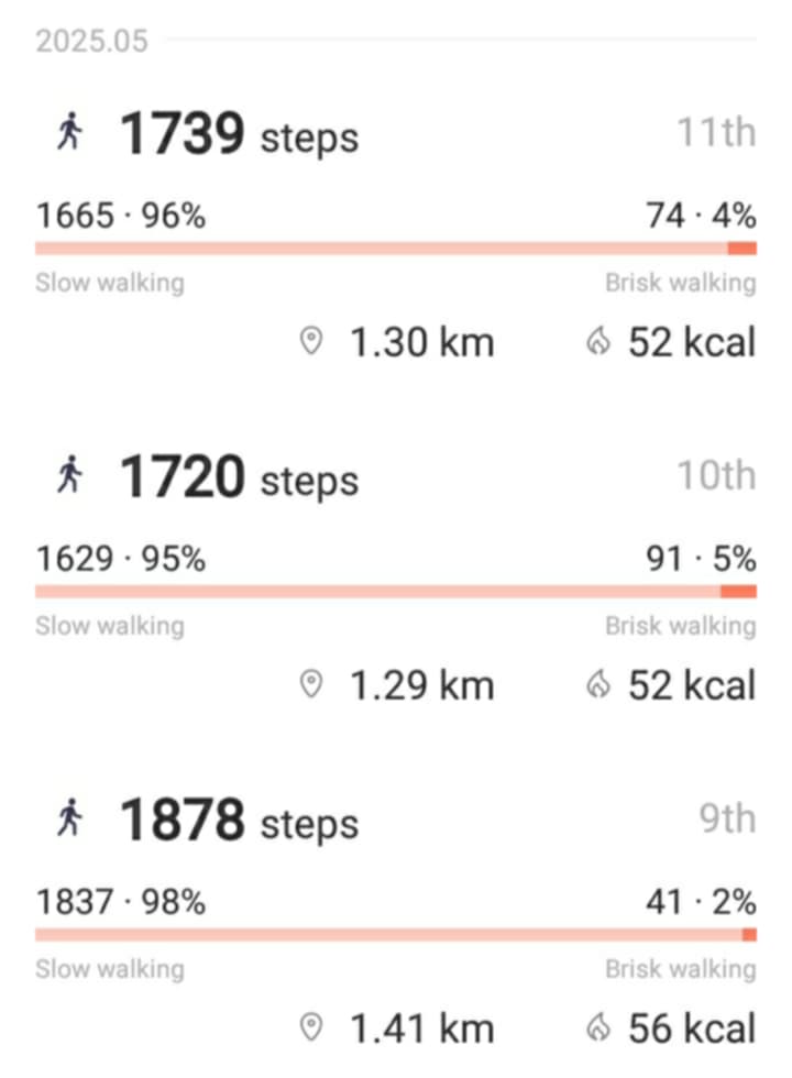 stepswalk.jpg/