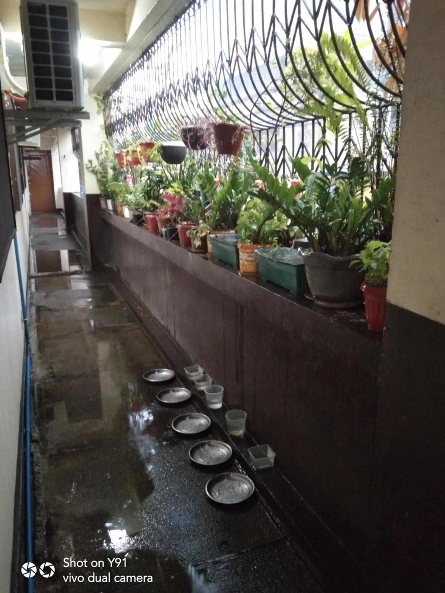 yayrain.jpg/