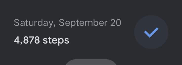 satsteps.jpg