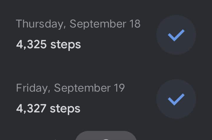 dailysteps.jpg
