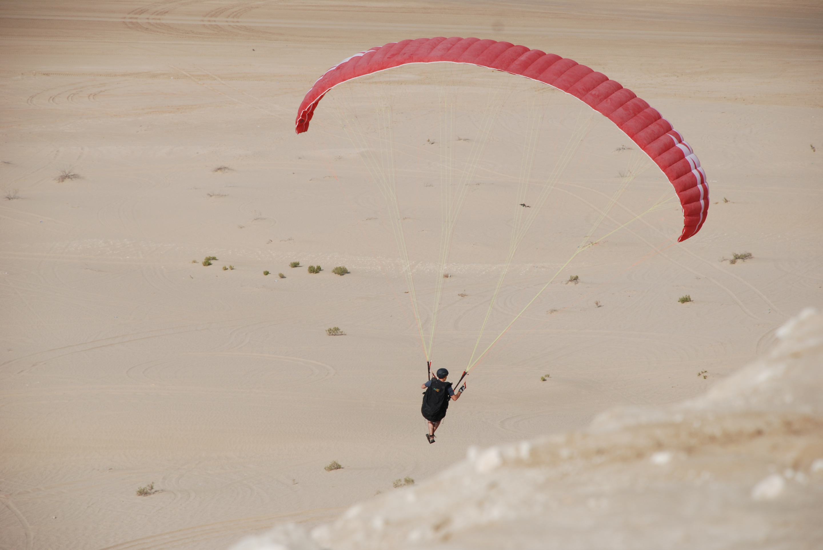 DSC_0906.JPG
