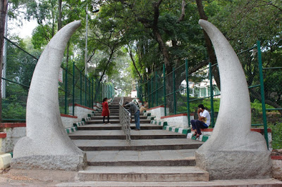 Big Bull Horn.jpg