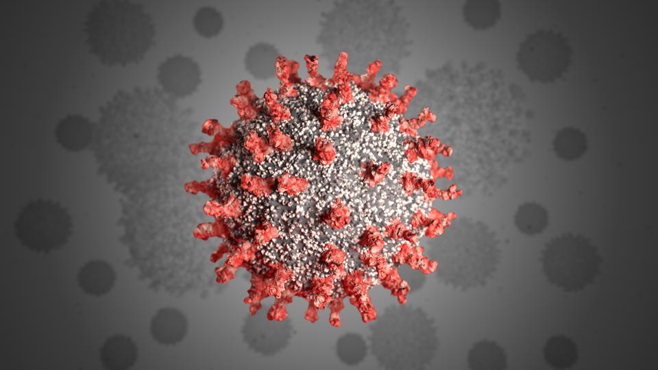 virus.jpg