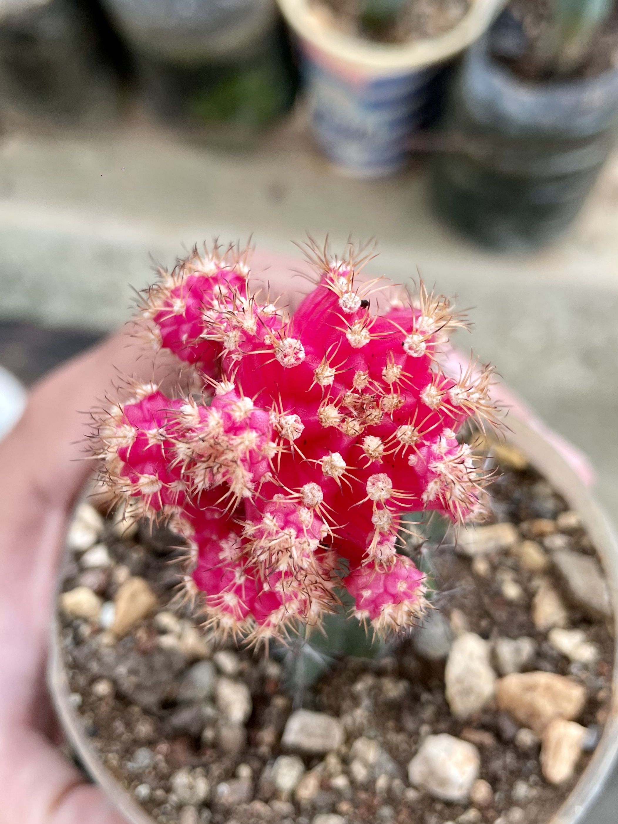 $1