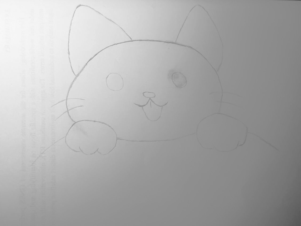 image.jpeg
