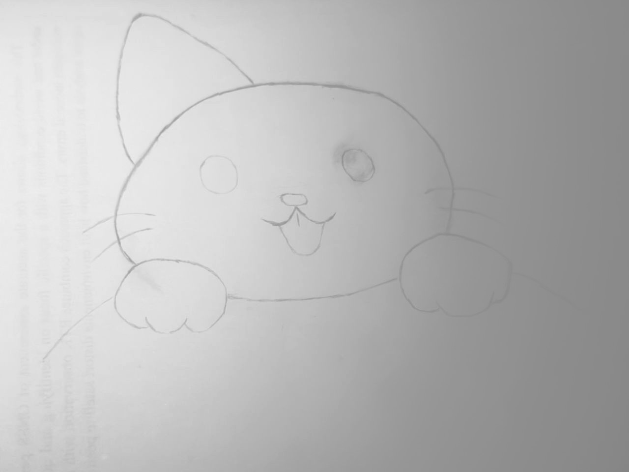 image.jpeg
