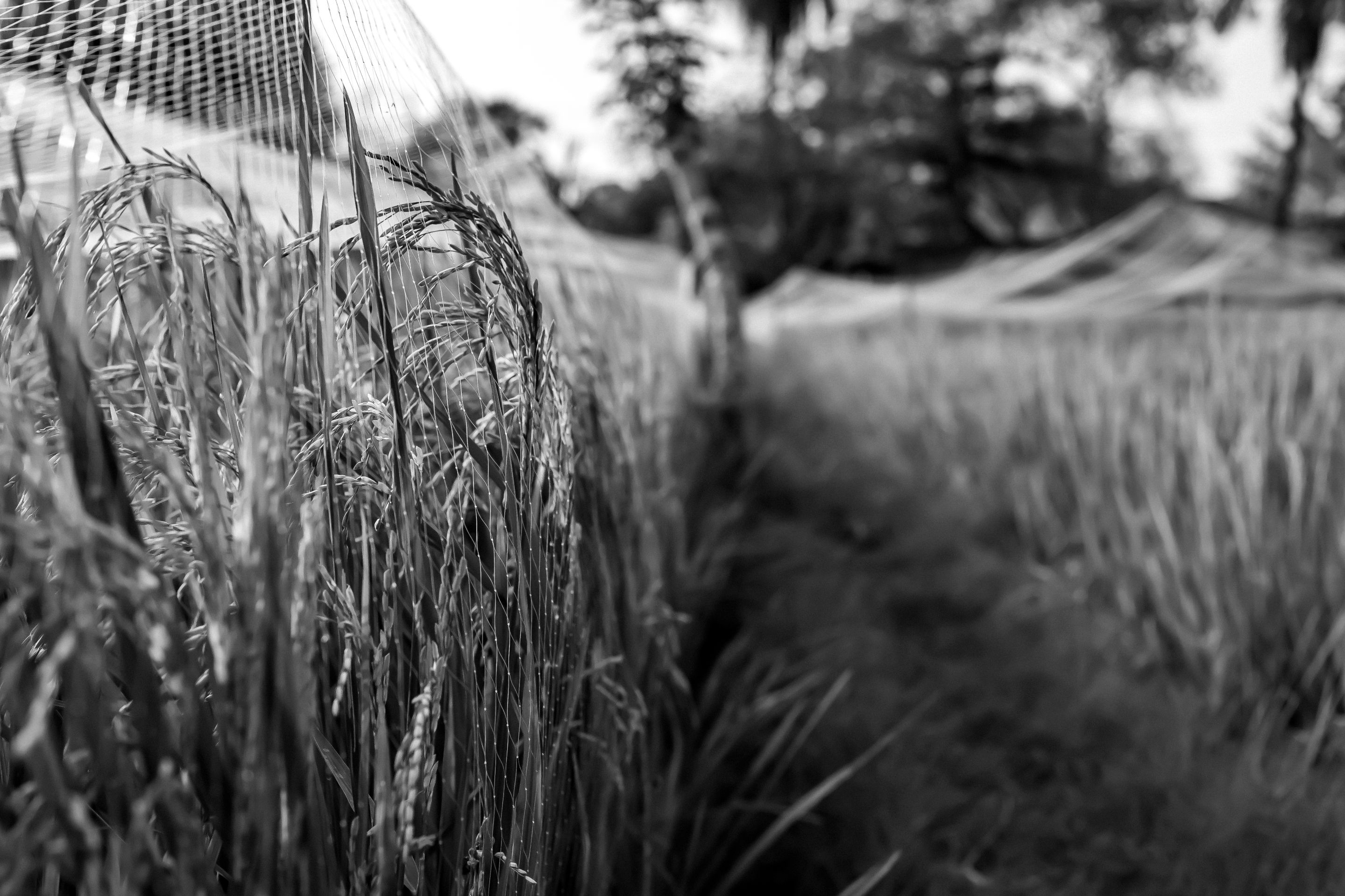 5 IMG_7186 copy.jpg