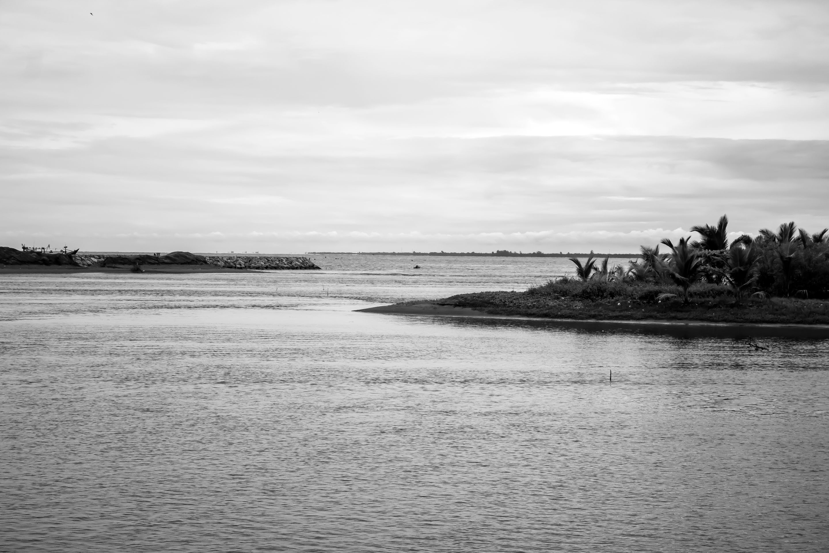 IMG_8810 copy.jpg