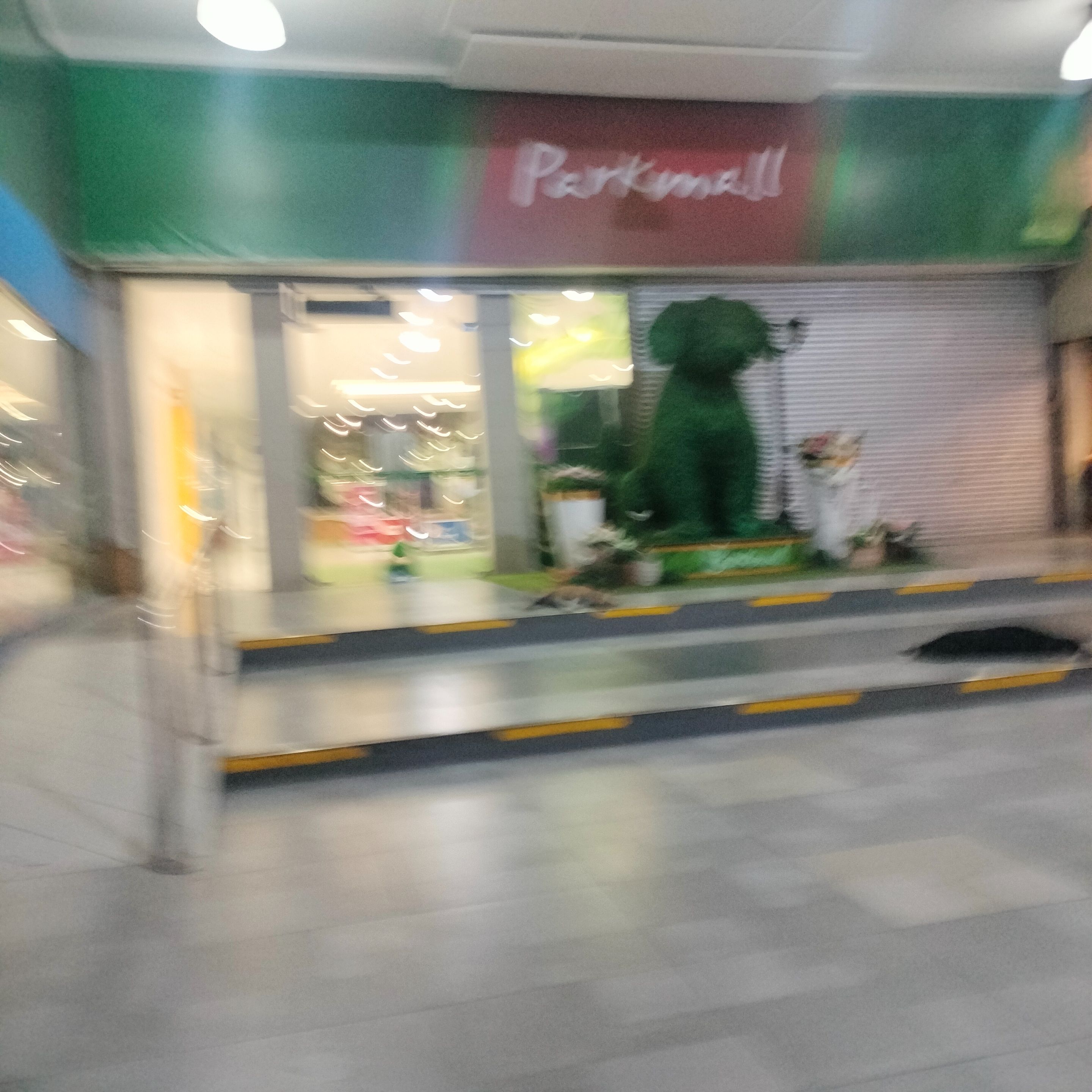 1000049439.jpg