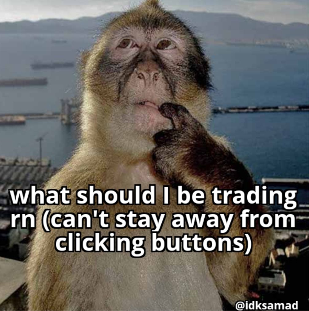 Surviving Market Crashes and Doom Scrolling: My Sunday Meme Therapy