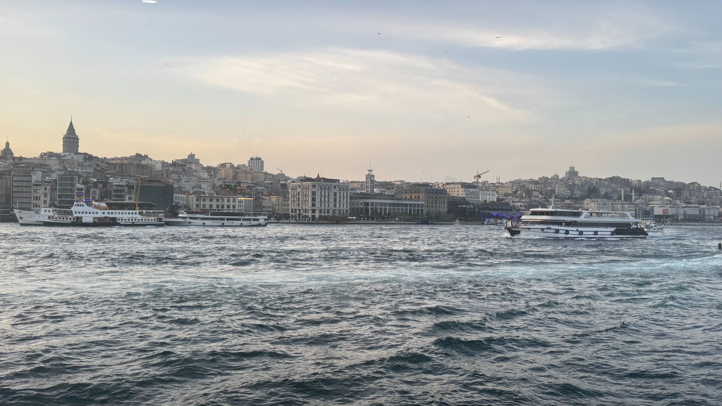 IMG_4017.JPG