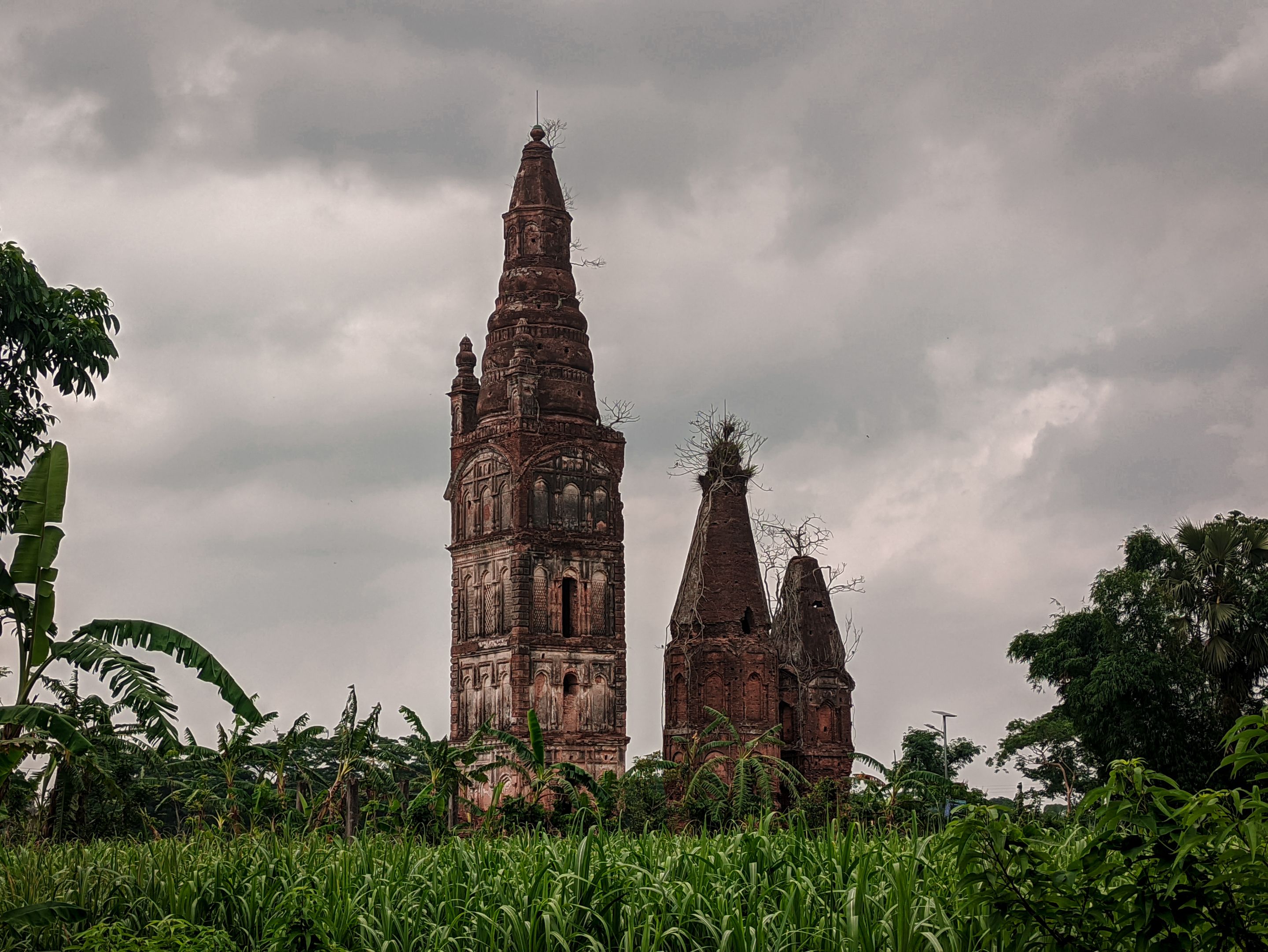 IMG_20220425_154646 (1).jpg