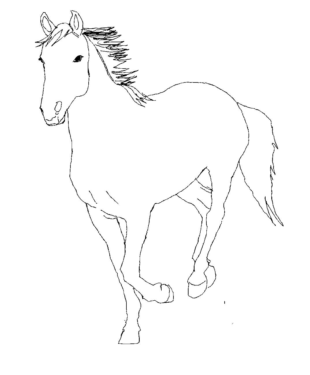 line-horse-3.png