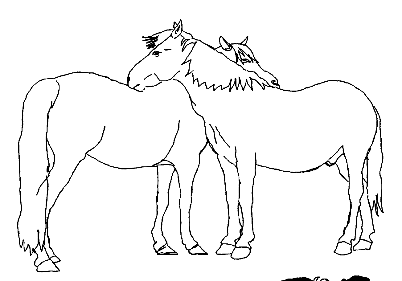 line-horse-1.png