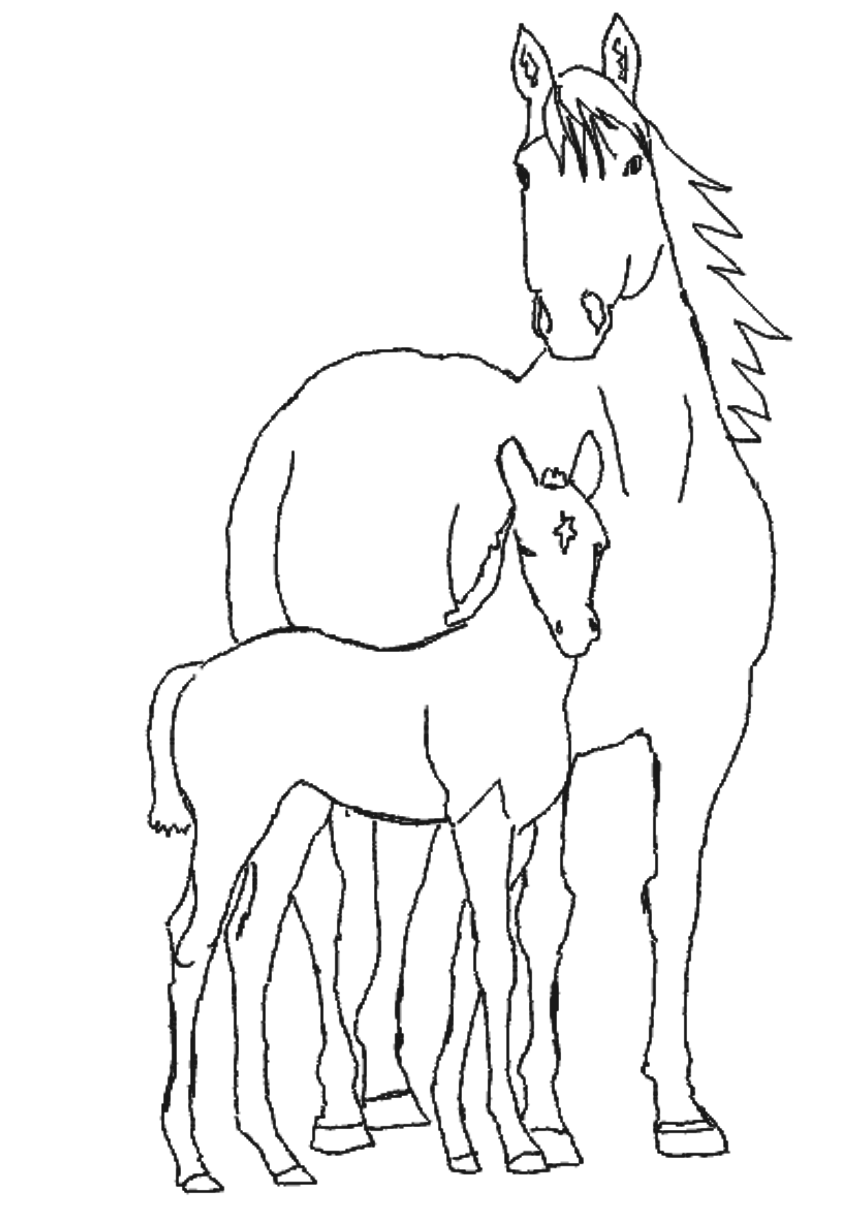 line-horses8.png