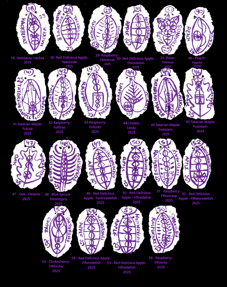 tree-markers_25.png