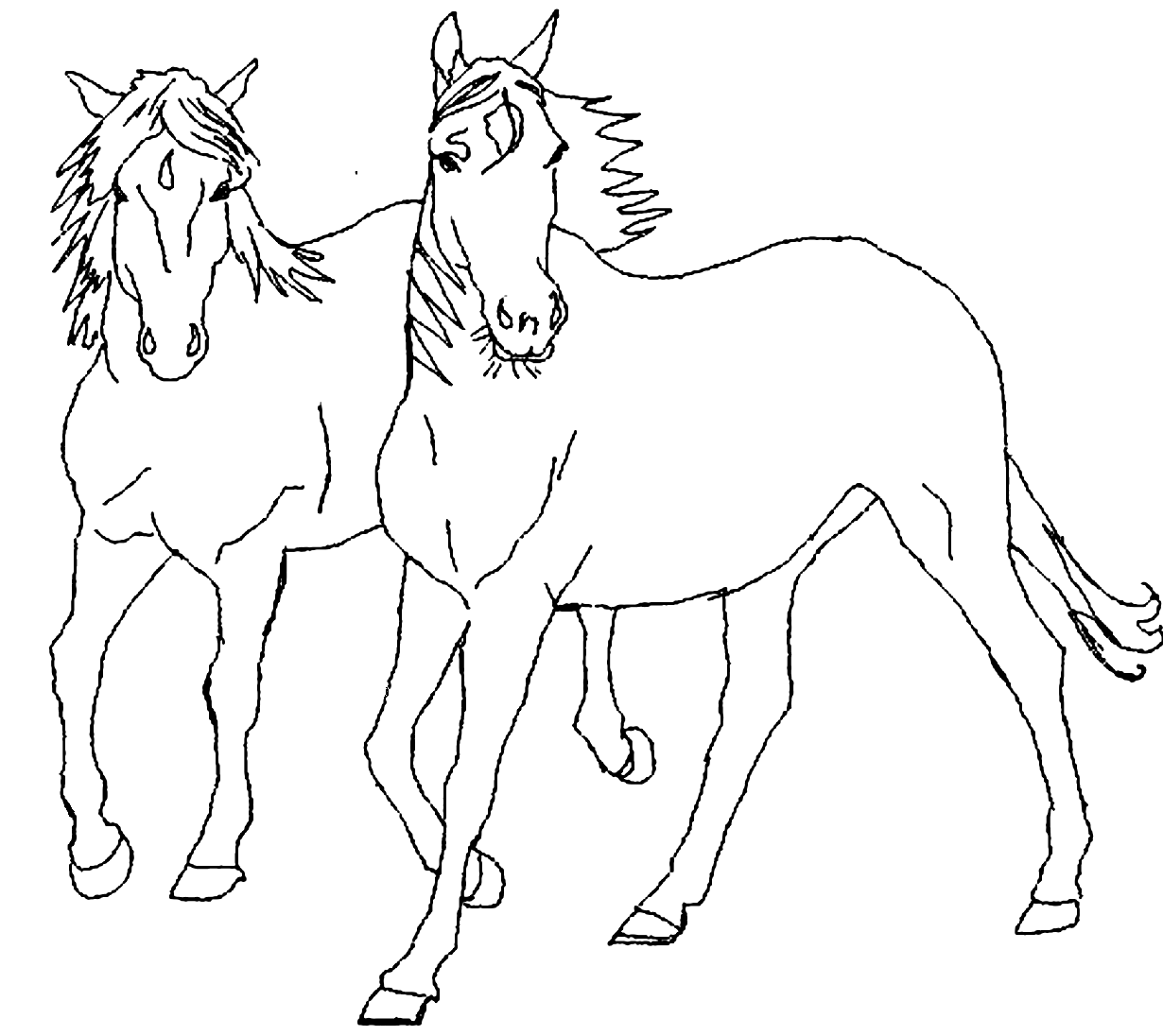 line-horse-4.png