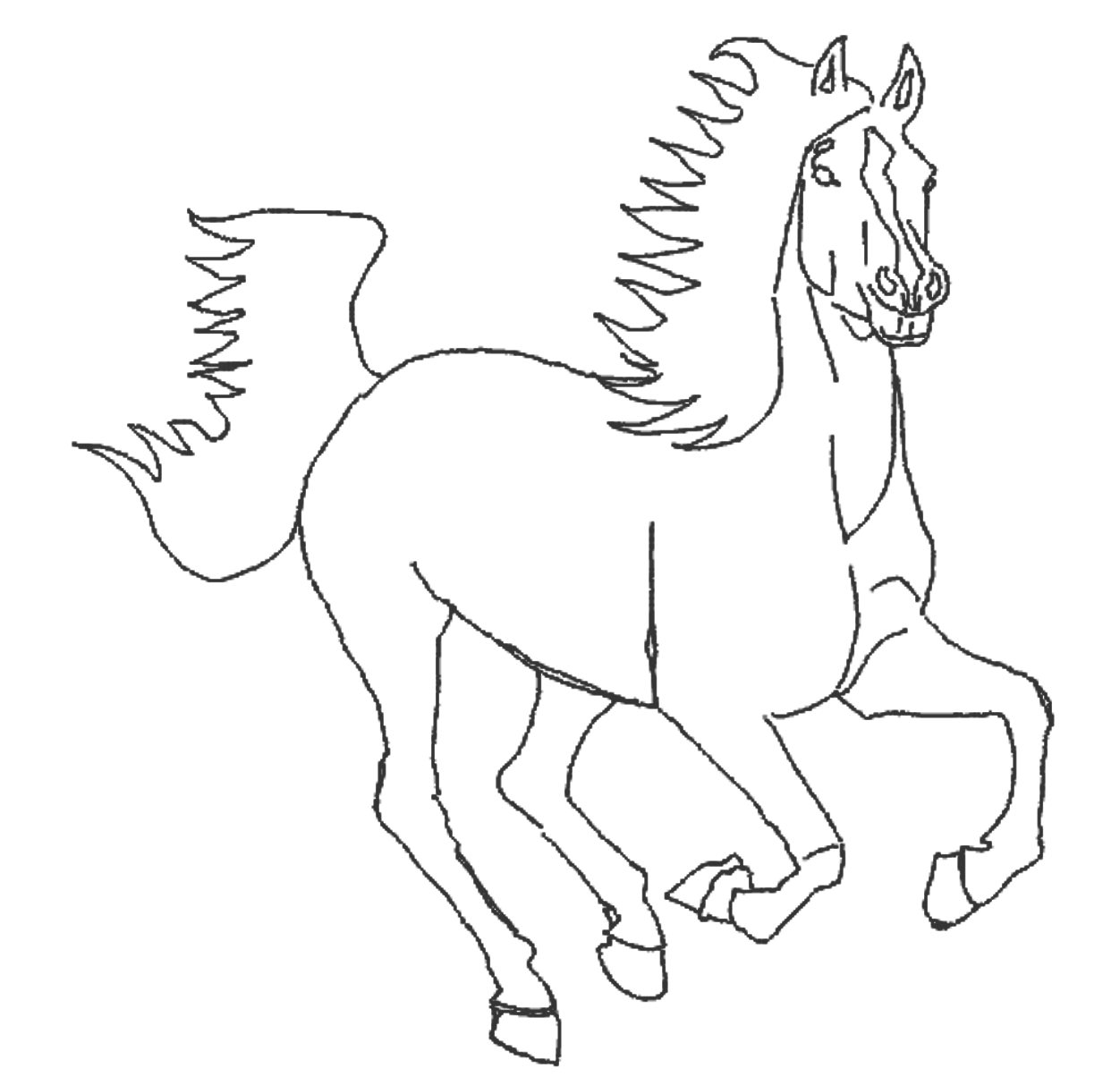 line-horses7.png