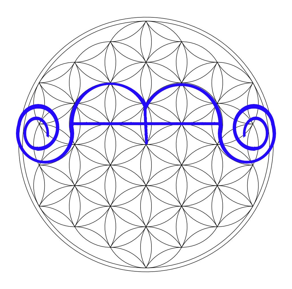 flower.unlimitedcont.jpg