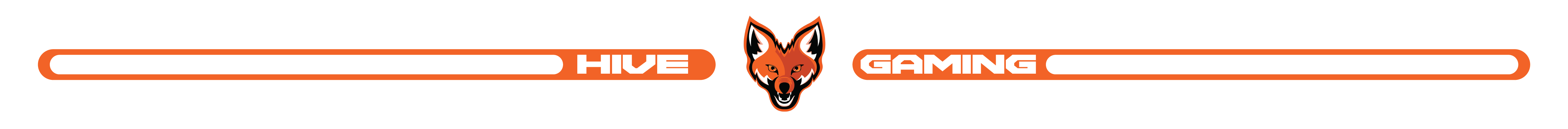 Hivegc divider.png