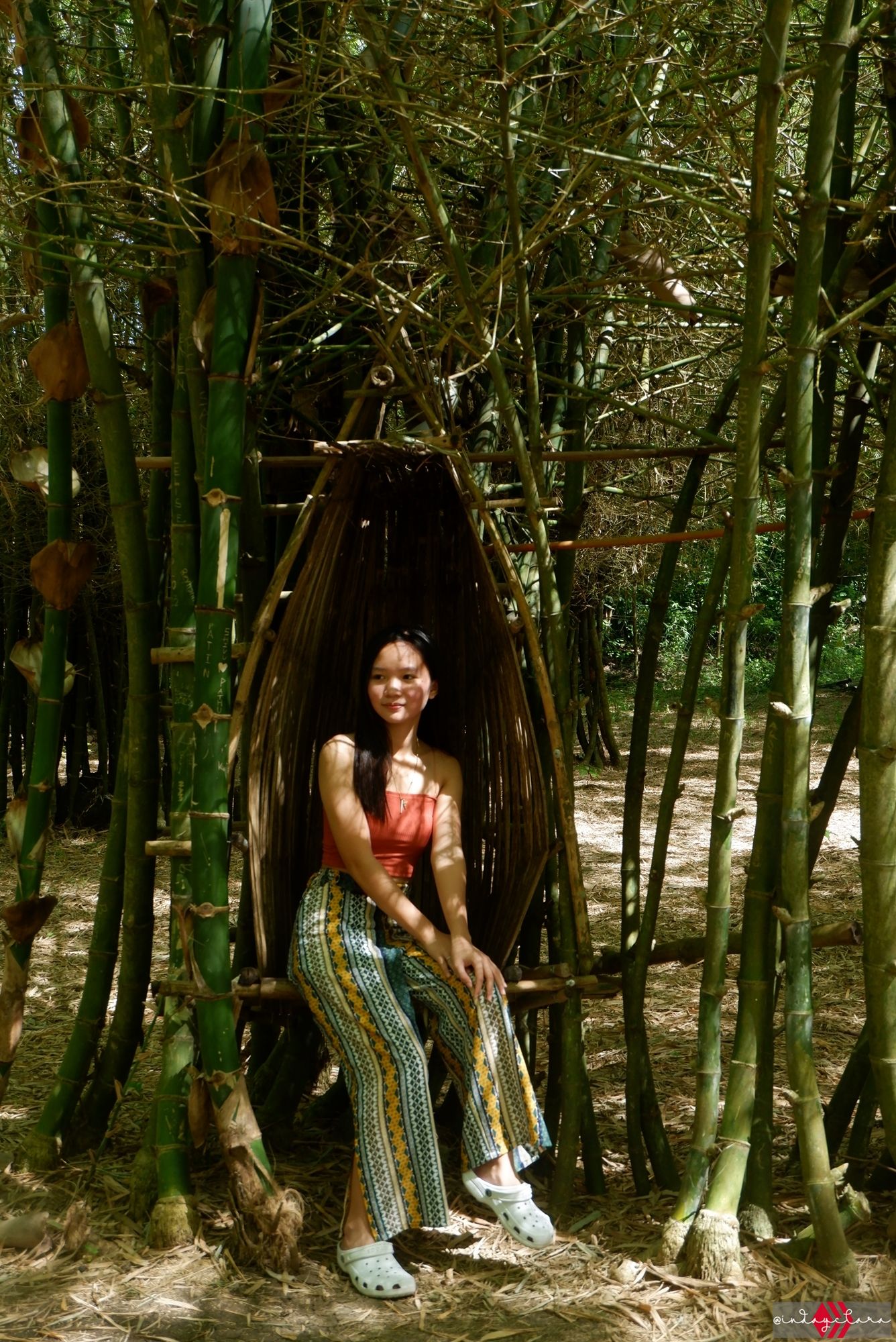 bamboo23.JPG
