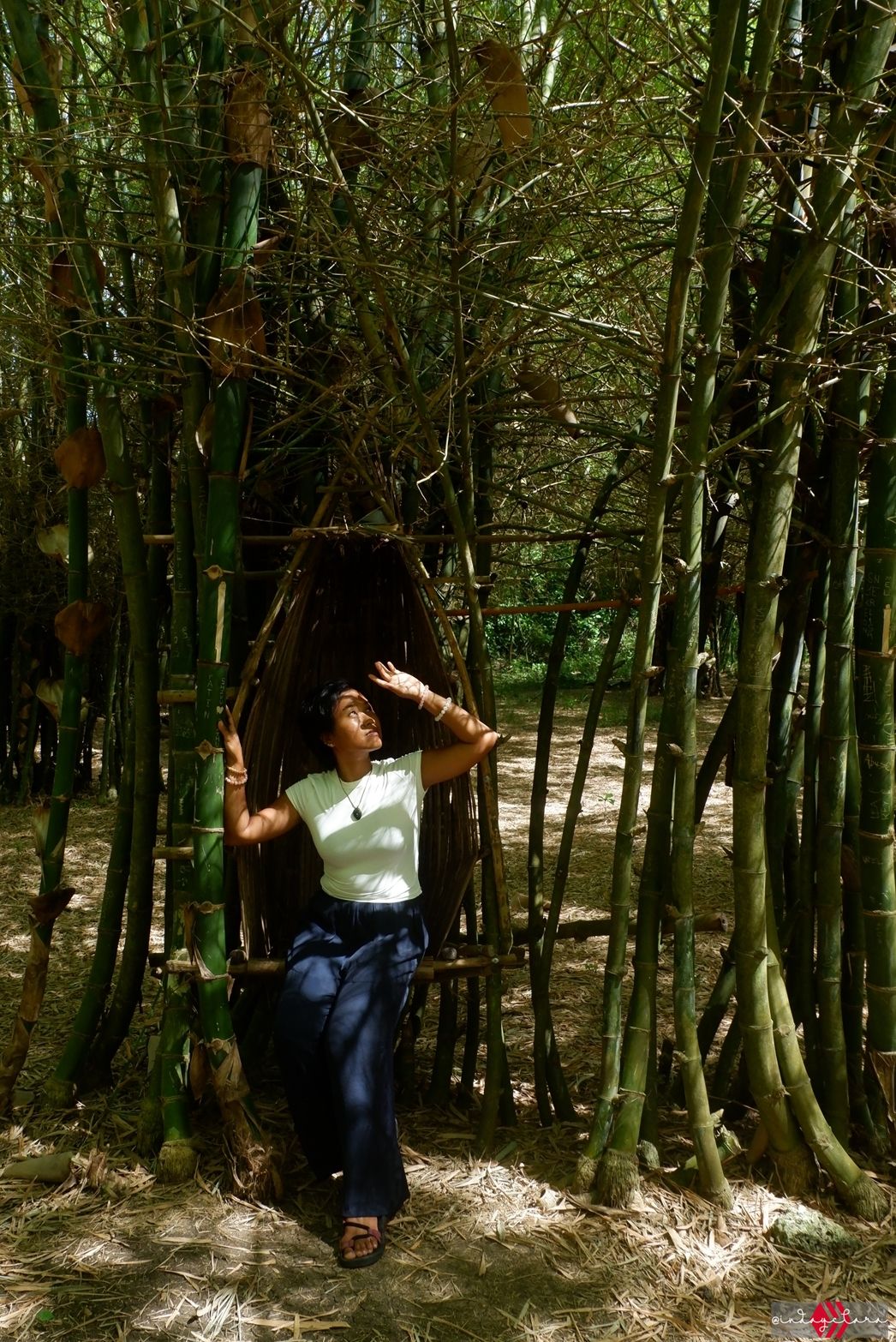 bamboo46.JPG
