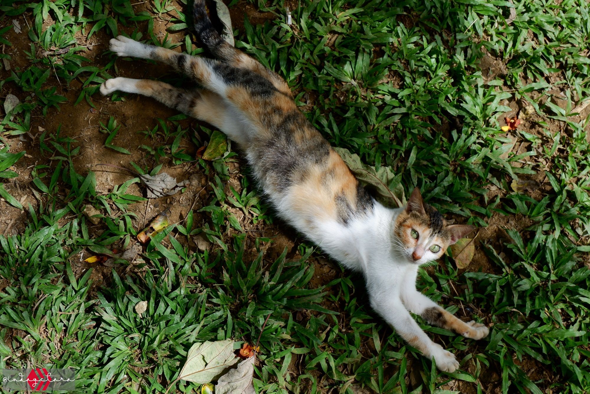 DSCF3328.JPG
