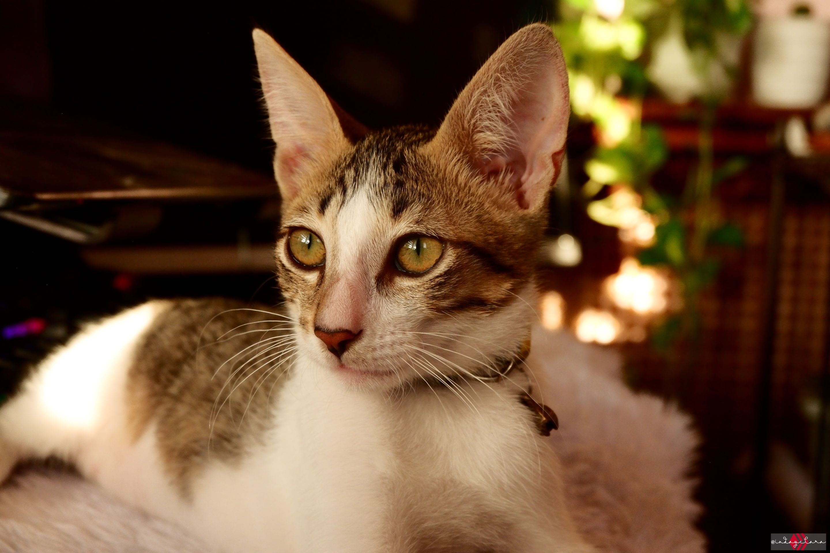 DSCF1193.JPG