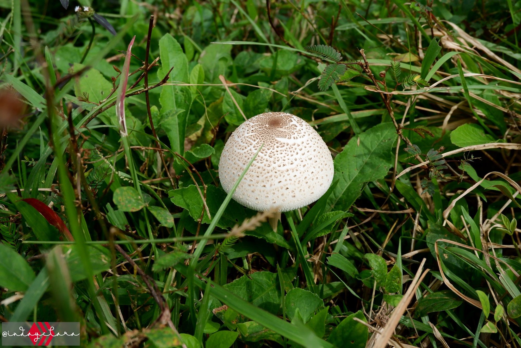 DSCF3263.JPG