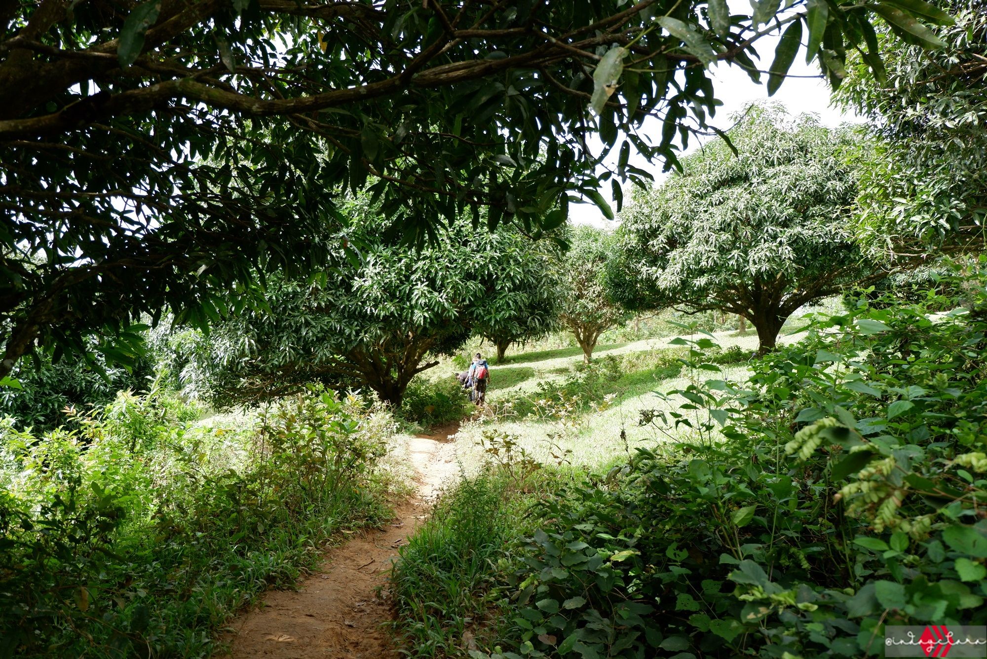 DSCF3238.JPG