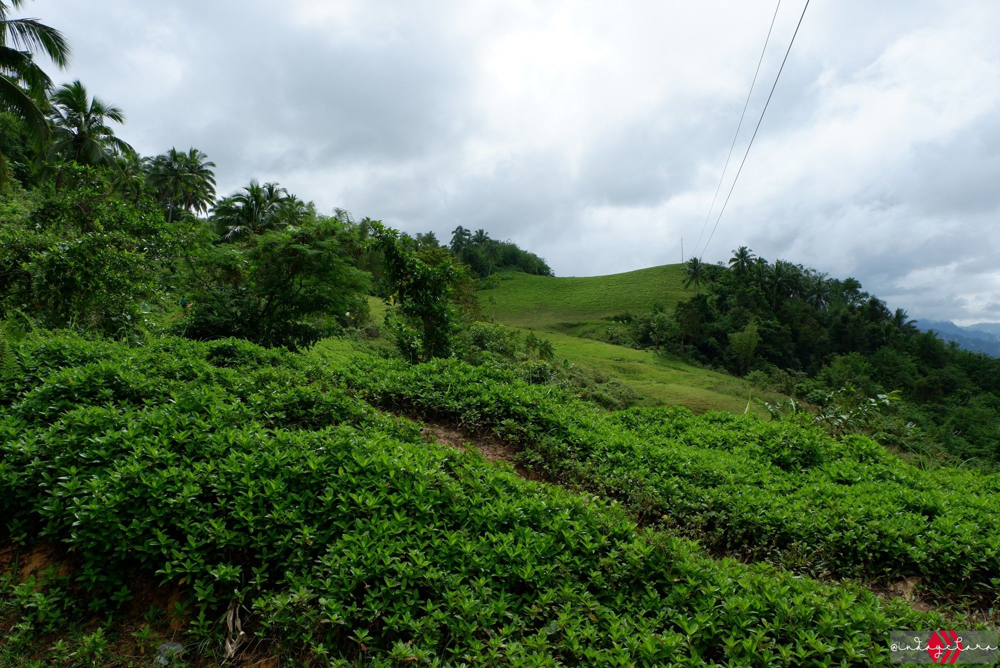 DSCF3364.JPG