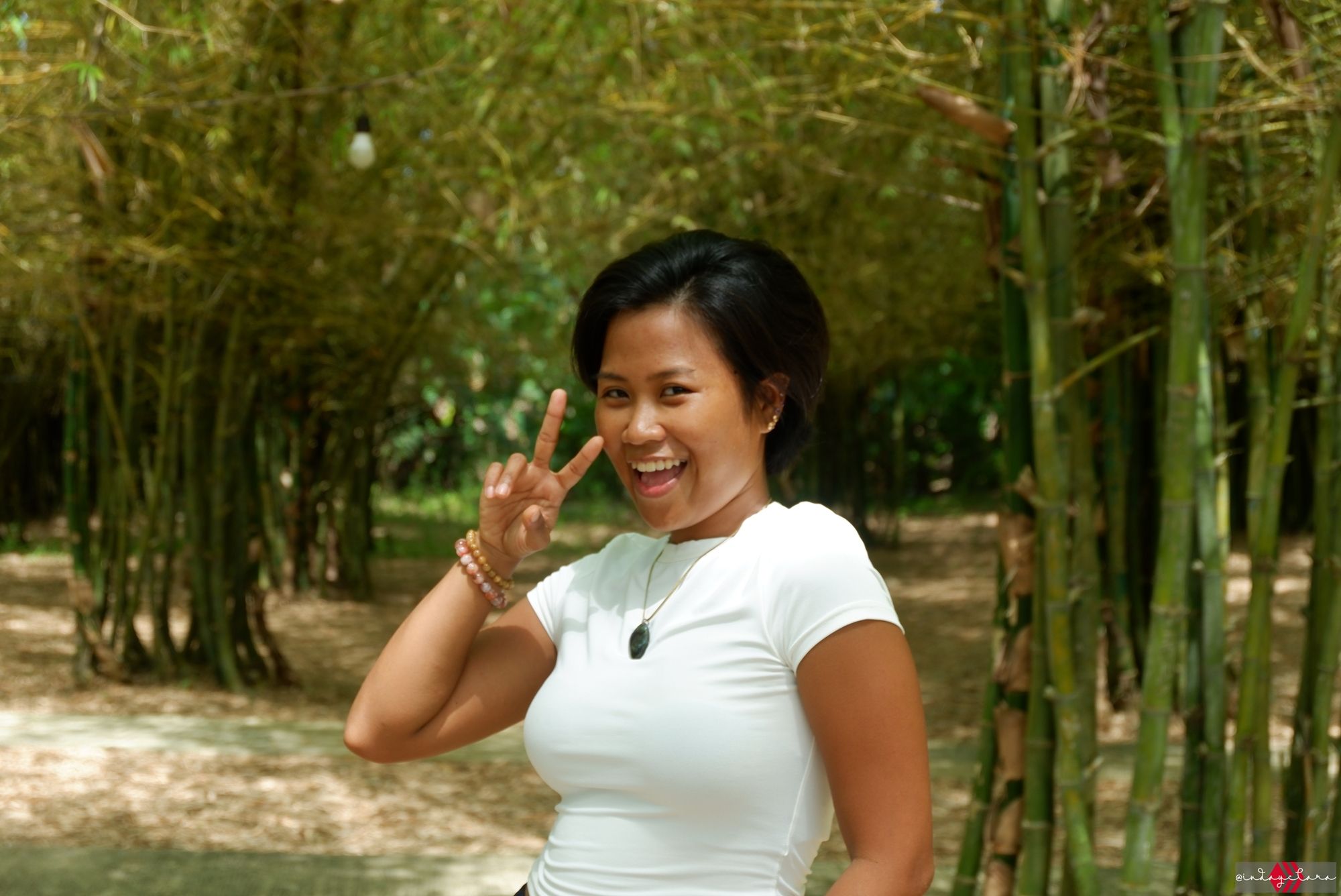 bamboo135.JPG