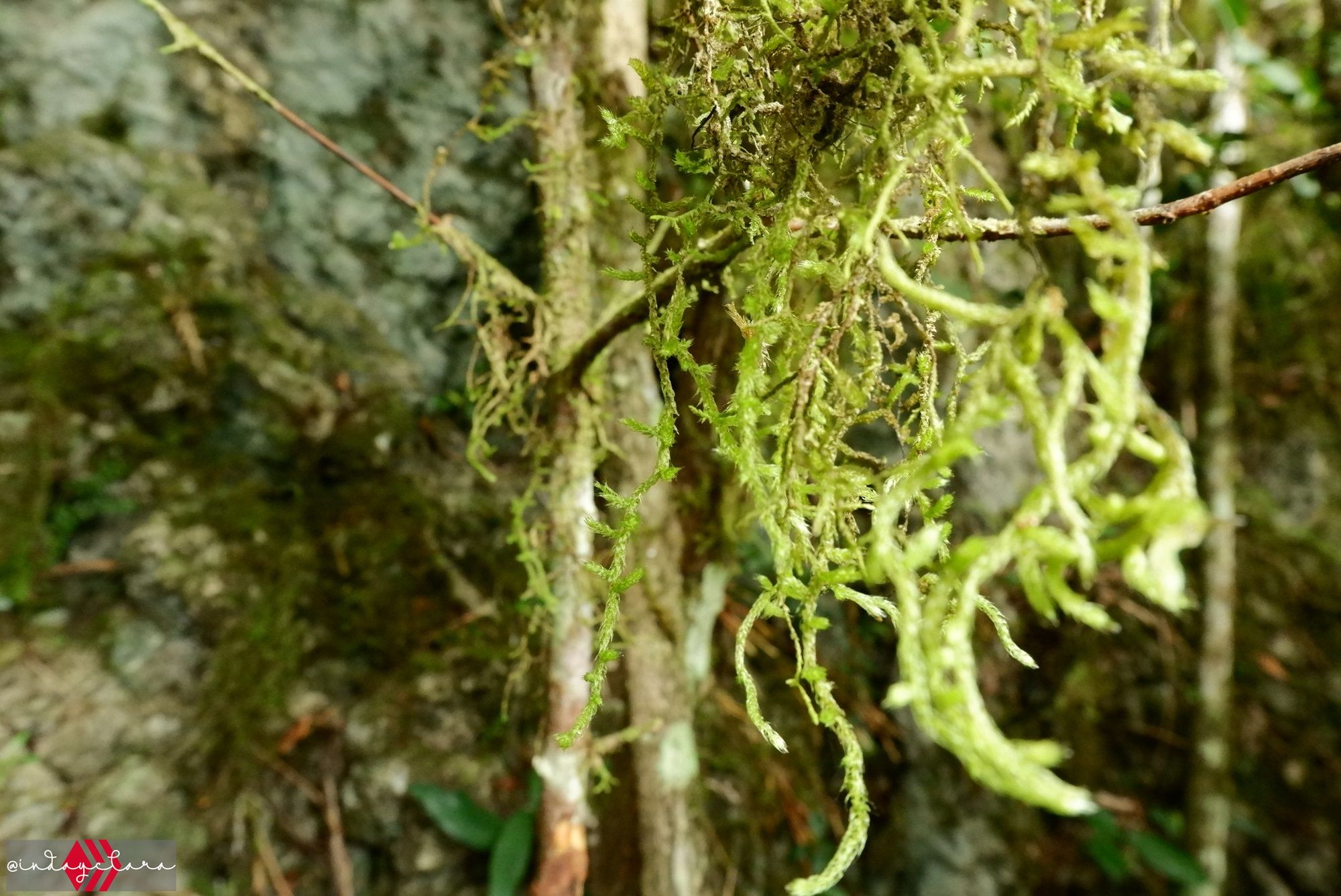 DSCF3406.JPG