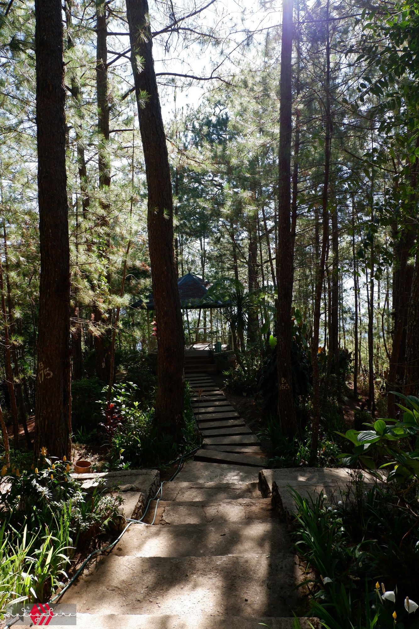 DSCF1875.JPG