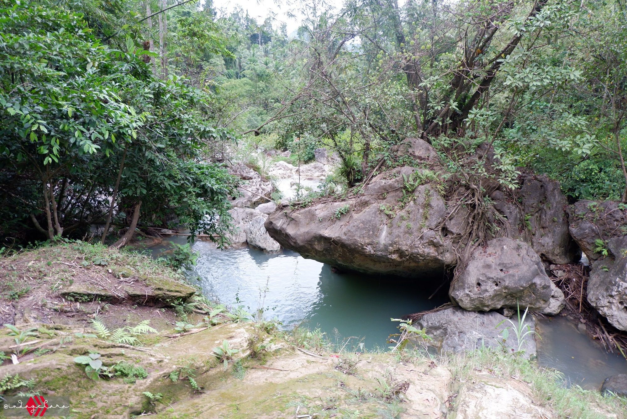 DSCF3565.JPG