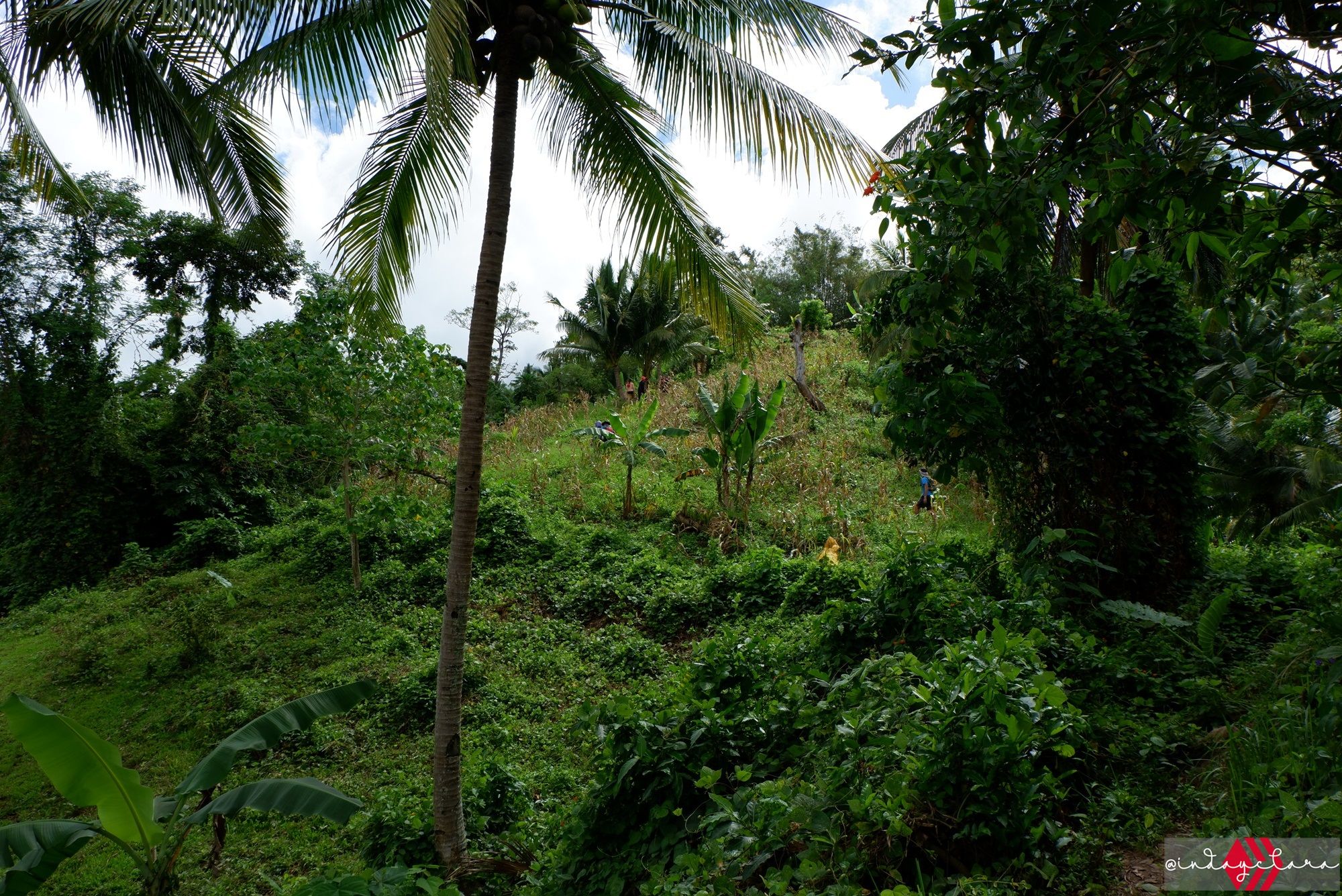 DSCF3277.JPG