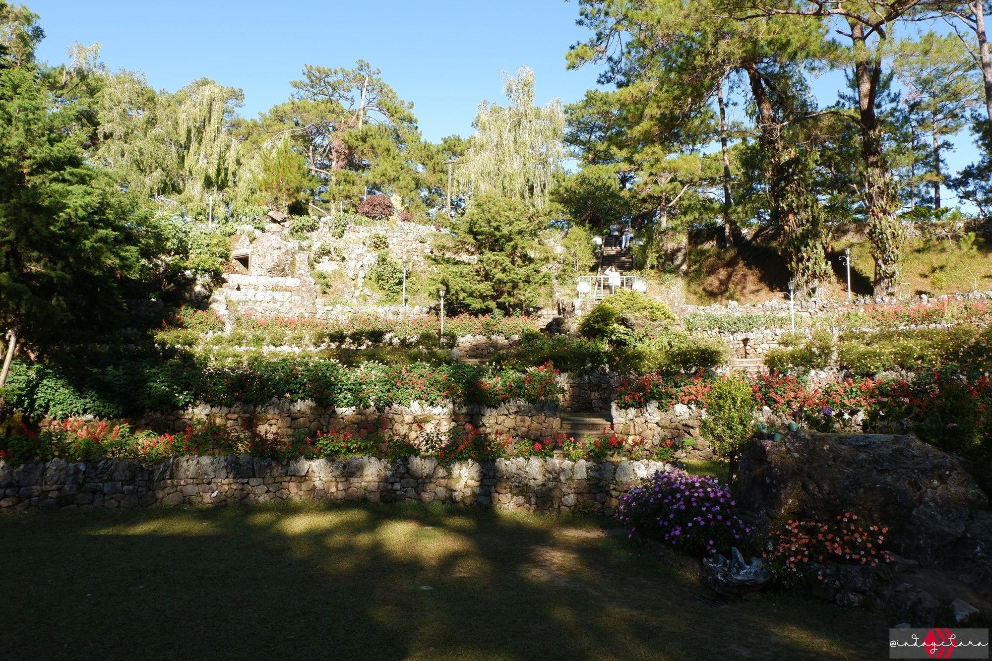 DSCF1767.JPG