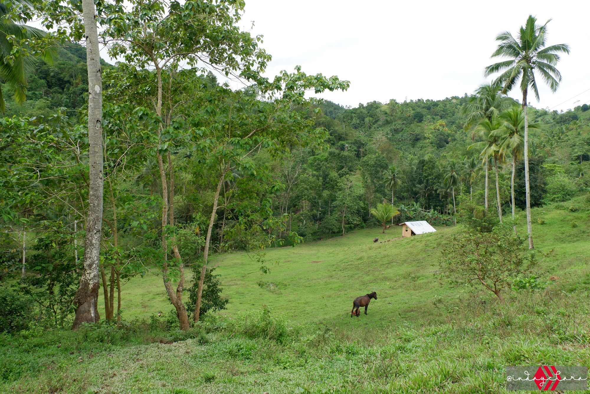 DSCF3256.JPG
