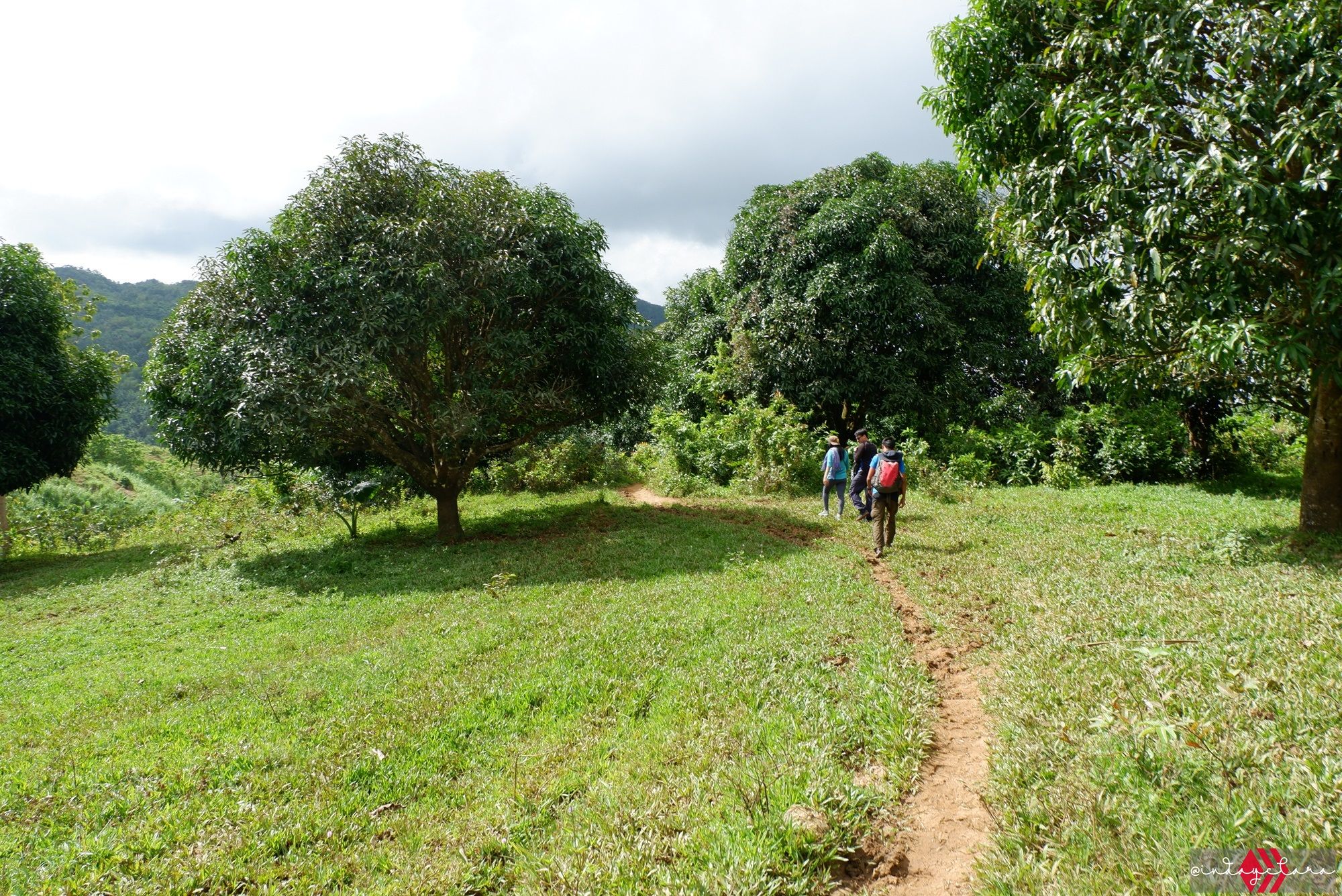 DSCF3235.JPG