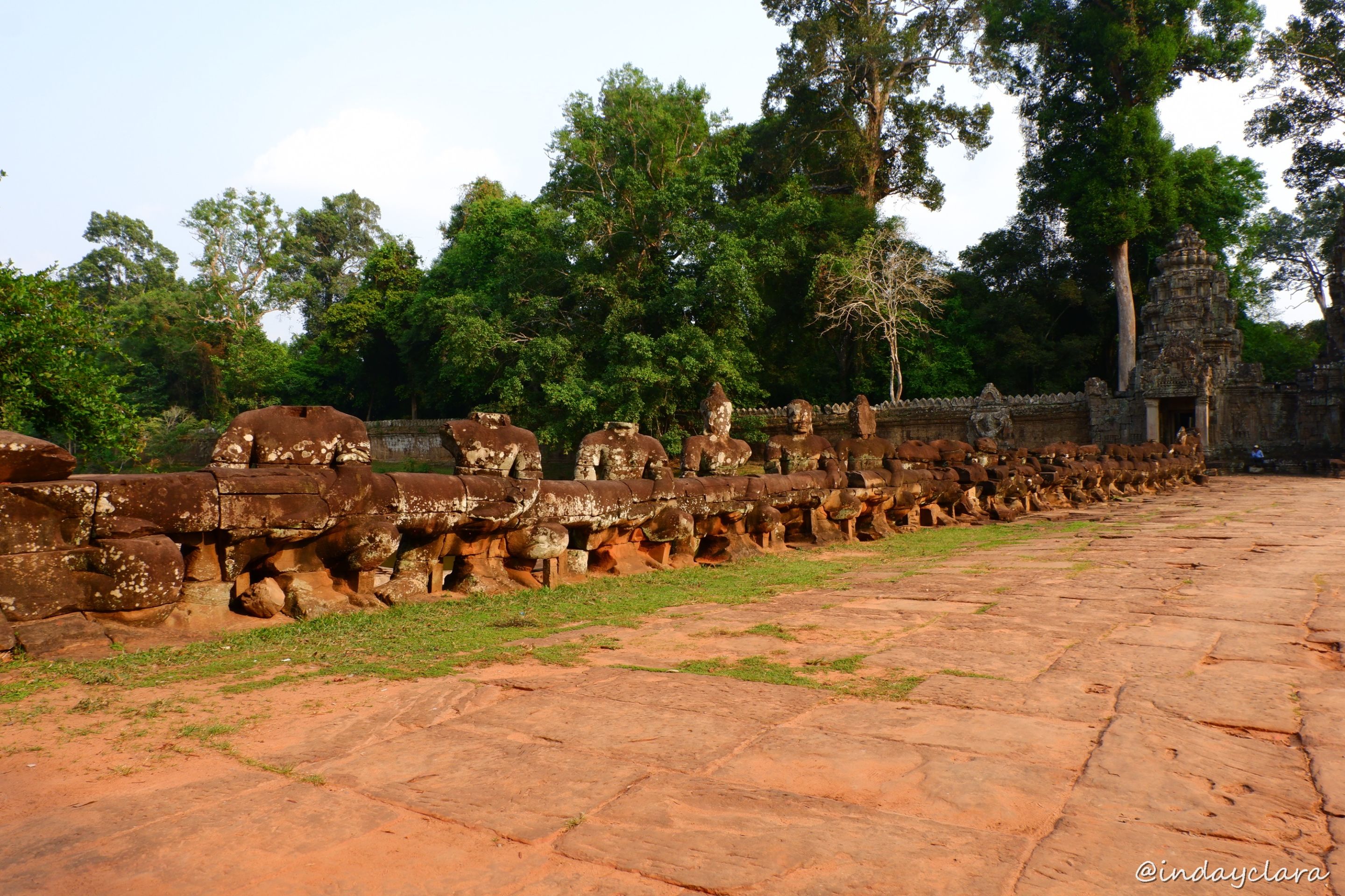 DSCF7009.JPG