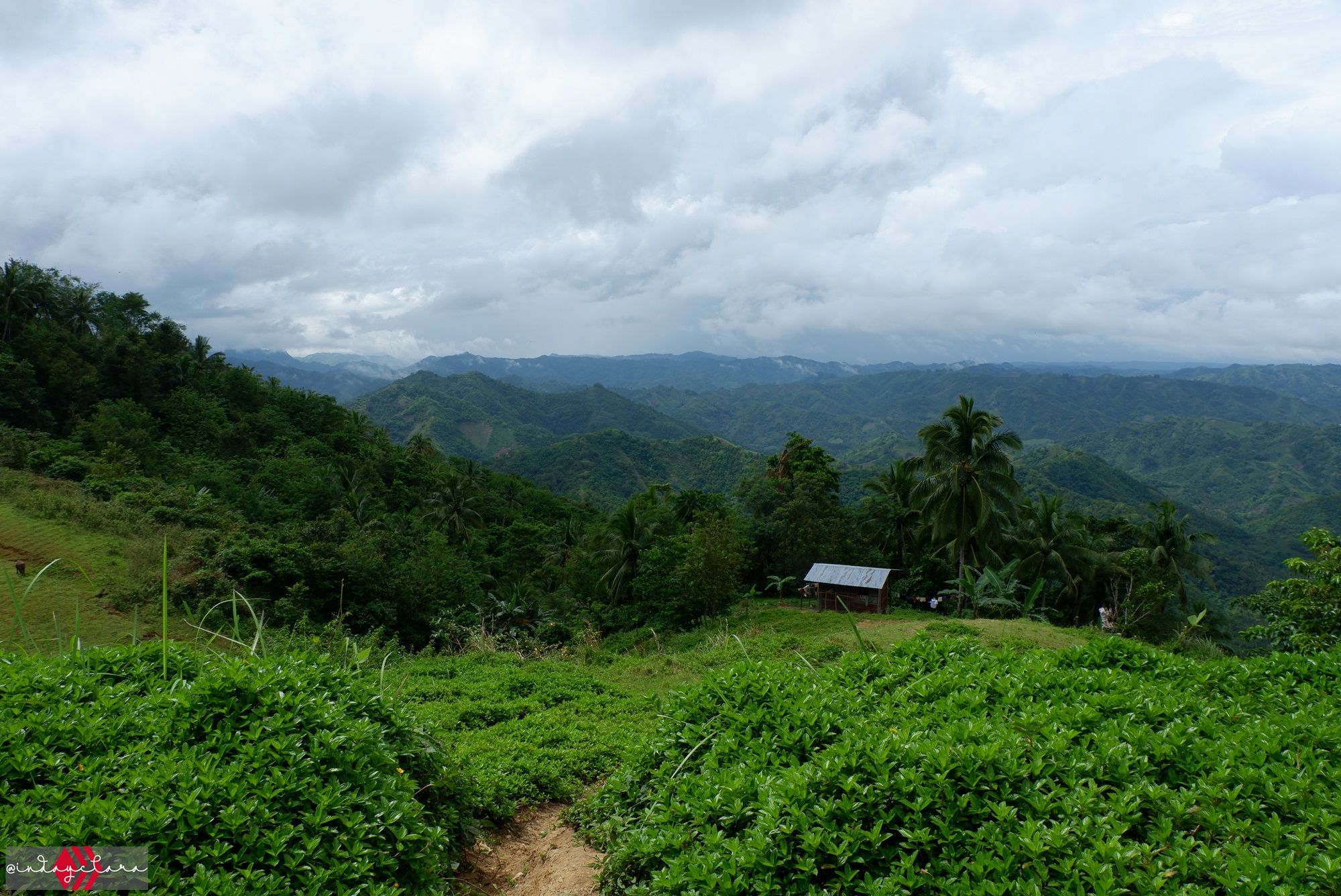 DSCF3363.JPG