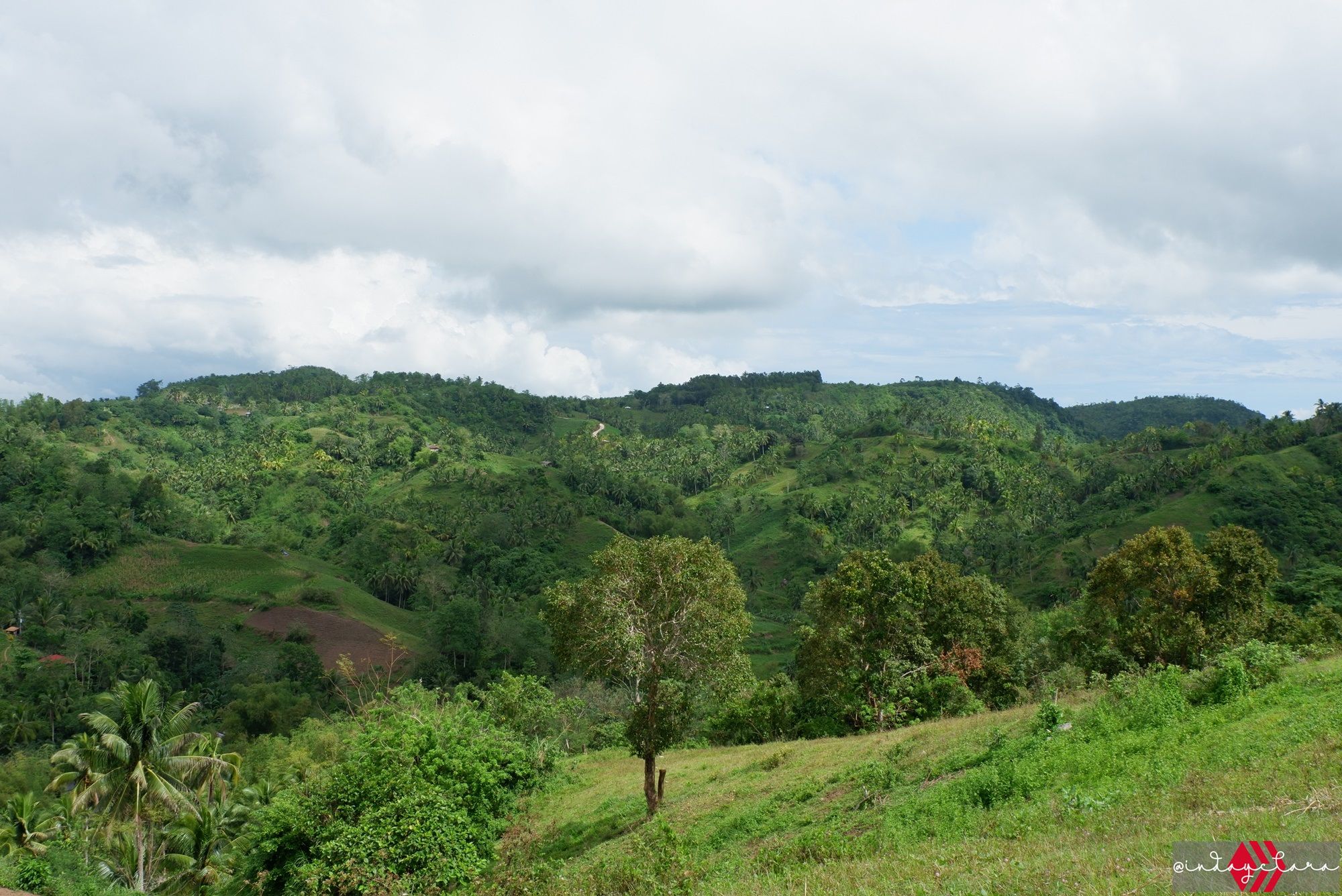 DSCF3273.JPG