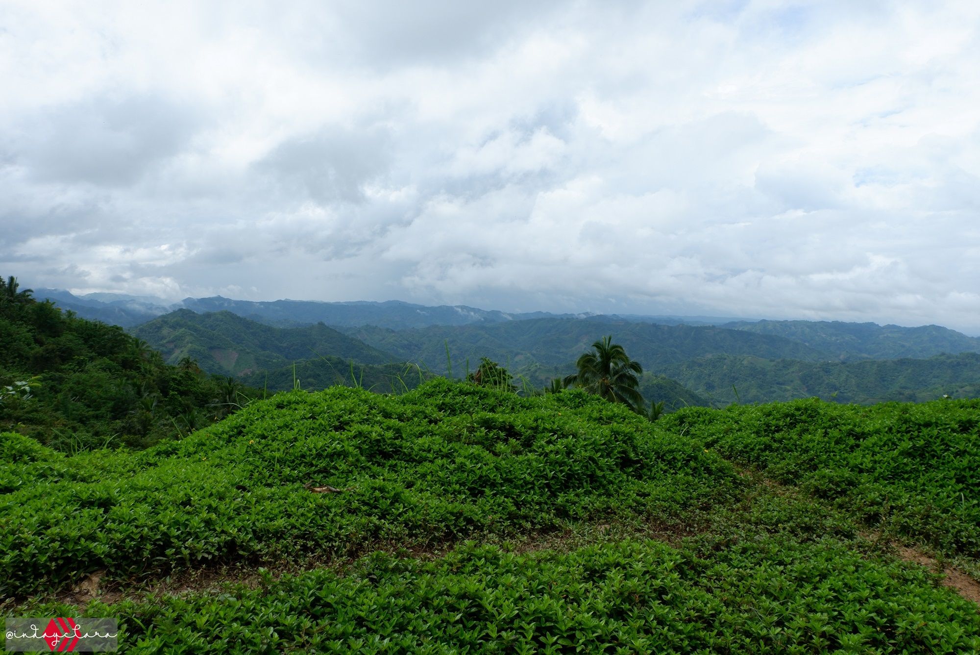 DSCF3362.JPG