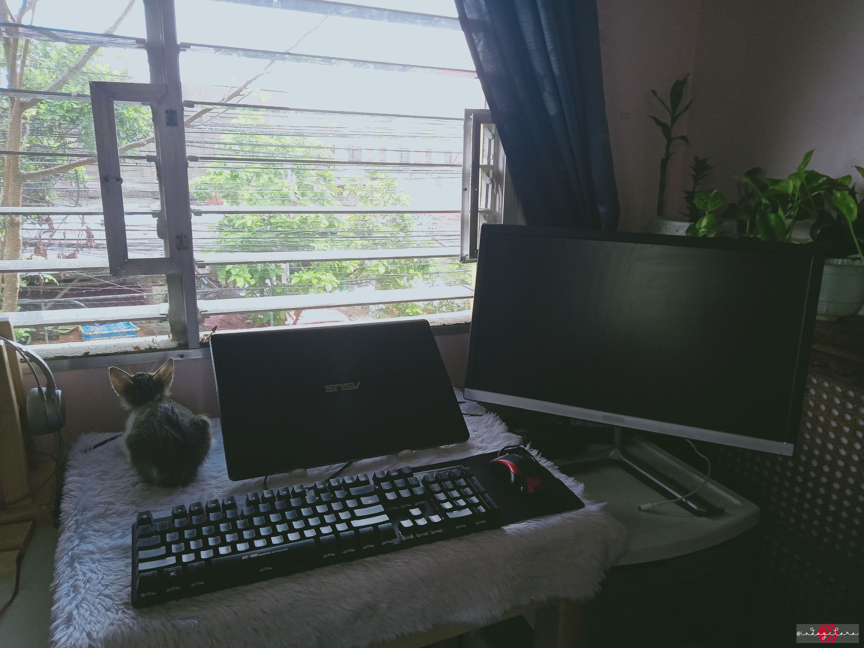 IMG20220410091904.jpg