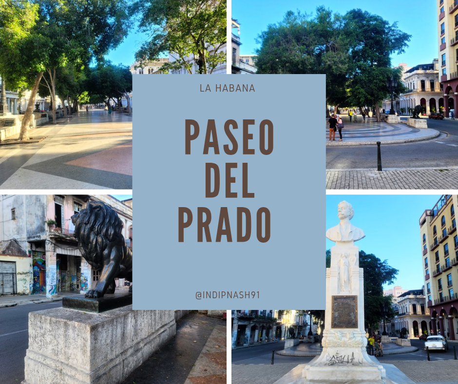 Marrón Vintage Collage de Fotos Publicación de Facebook_20251004_151900_0000.png