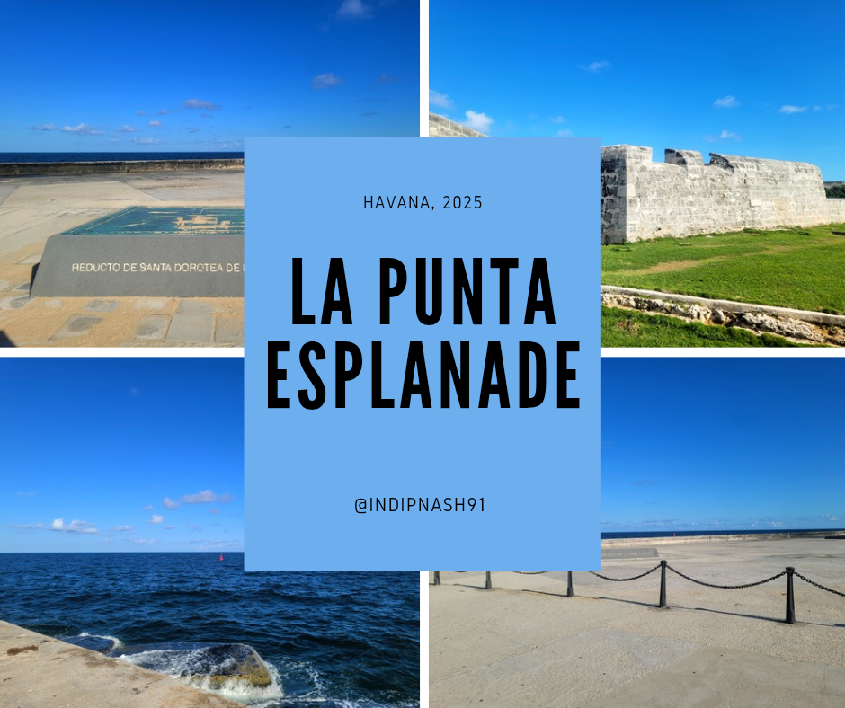 Marrón Productos Vintage Apertura Collage Post en Facebook_20251020_150605_0000.png